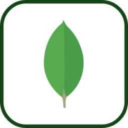 mongodb.256×256